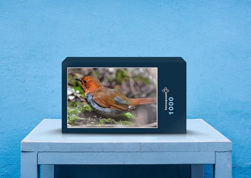 71836 Tierwelt - Vogel Puzzle