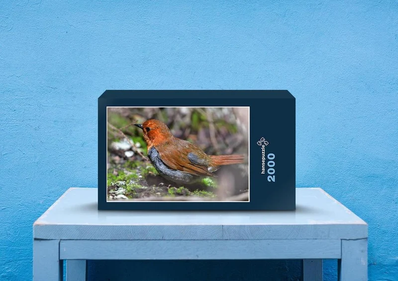 71836 Tierwelt - Vogel Puzzle