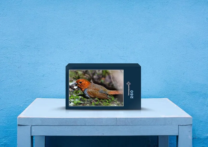 71831 Tierwelt - Vogel Puzzle