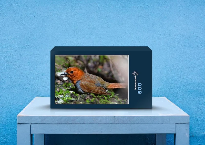 71831 Tierwelt - Vogel Puzzle