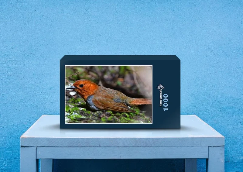 71831 Tierwelt - Vogel Puzzle