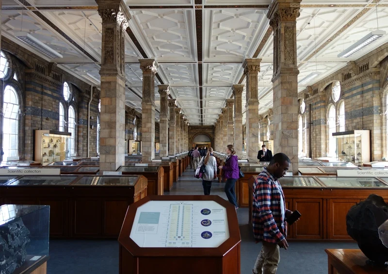 55355 Hintergründe - Naturkundemuseum Puzzle