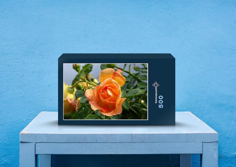 54988 Hintergründe - Rose Puzzle