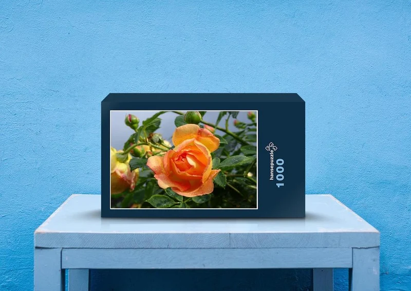 54988 Hintergründe - Rose Puzzle