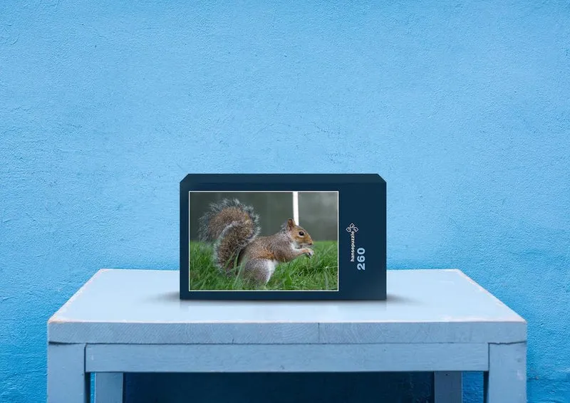 53718 Tierwelt - Eichhörnchen Puzzle