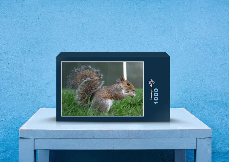 53718 Tierwelt - Eichhörnchen Puzzle