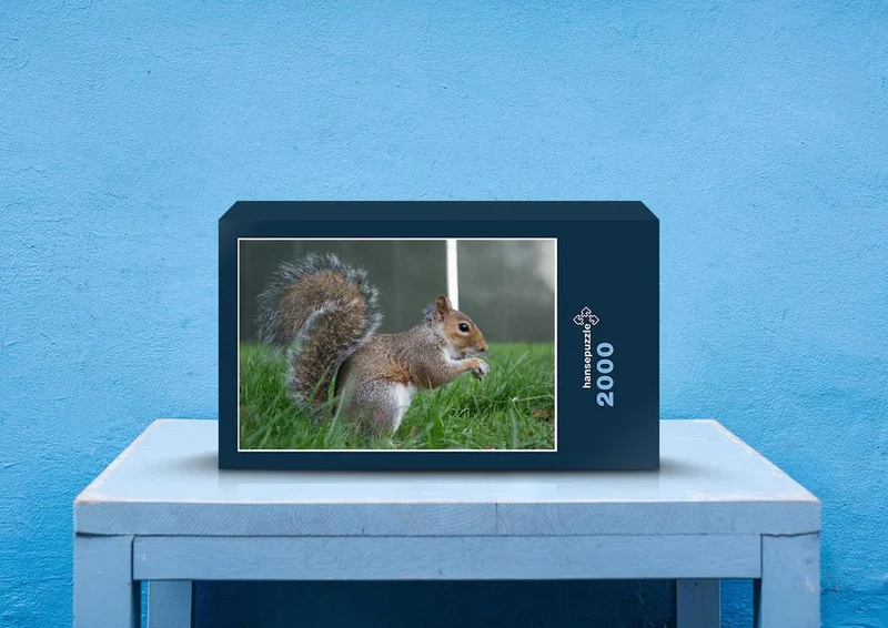 53718 Tierwelt - Eichhörnchen Puzzle