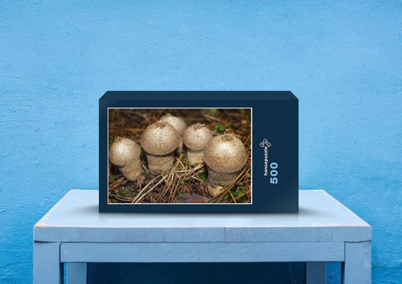 39953 Ernährung - Pilze Puzzle