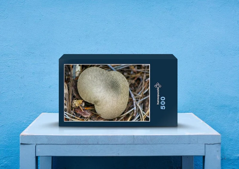 40706 Ernährung - Pilz Puzzle