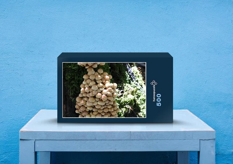 40736 Ernährung - Pilze Puzzle