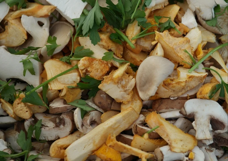 40748 Ernährung - Pilze Puzzle