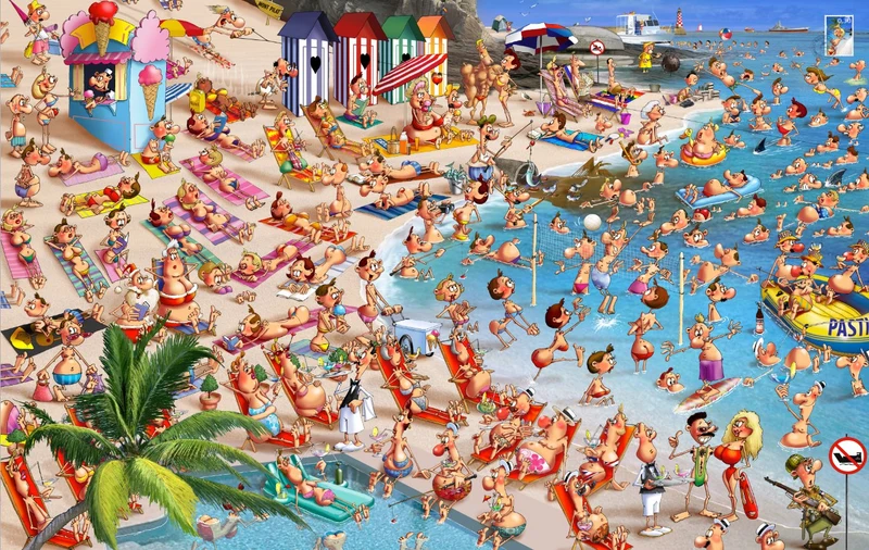 PFG Beach, Francois Ruyer (Usage/Used - PUZZLES FOR GOOD)