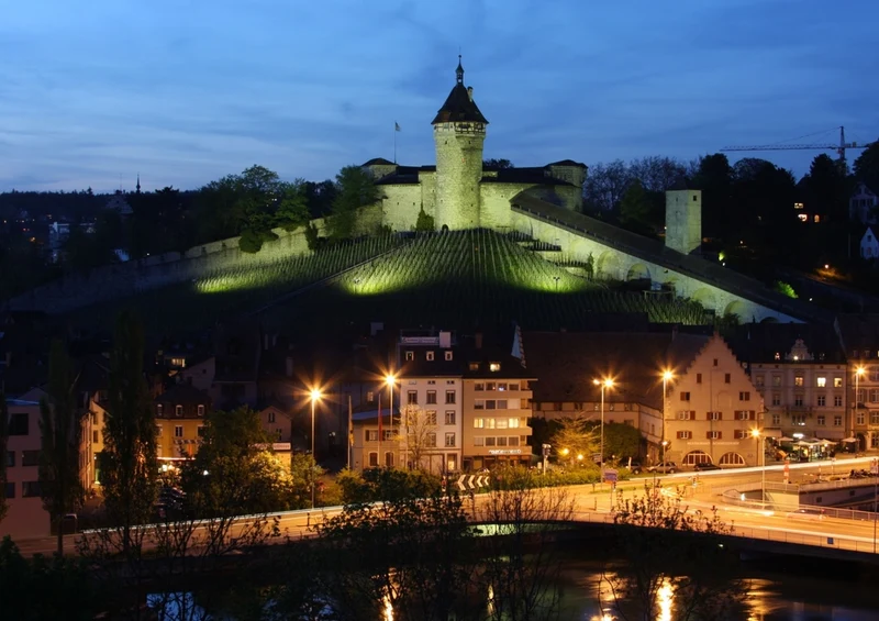35901 Reisen - Schaffhausen Puzzle