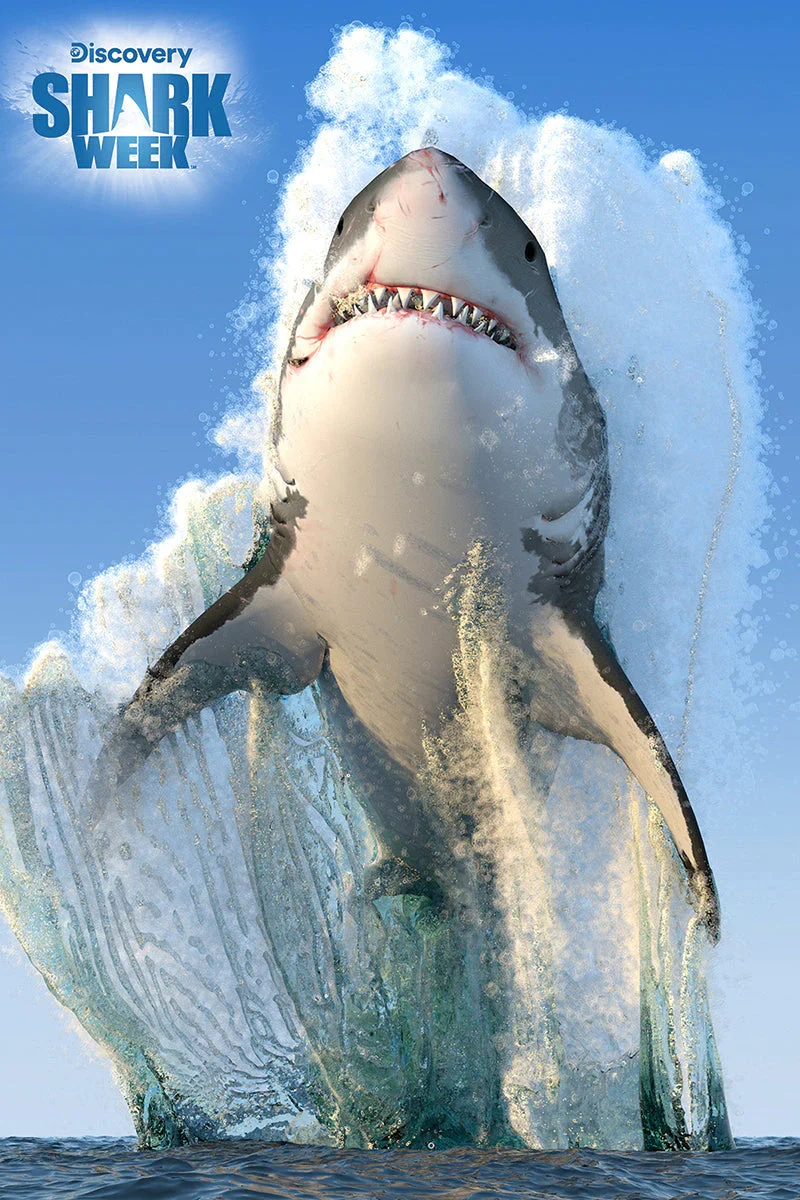 Discovery Shark Week - Great White Shark (3D Puzzle) (150pcs)