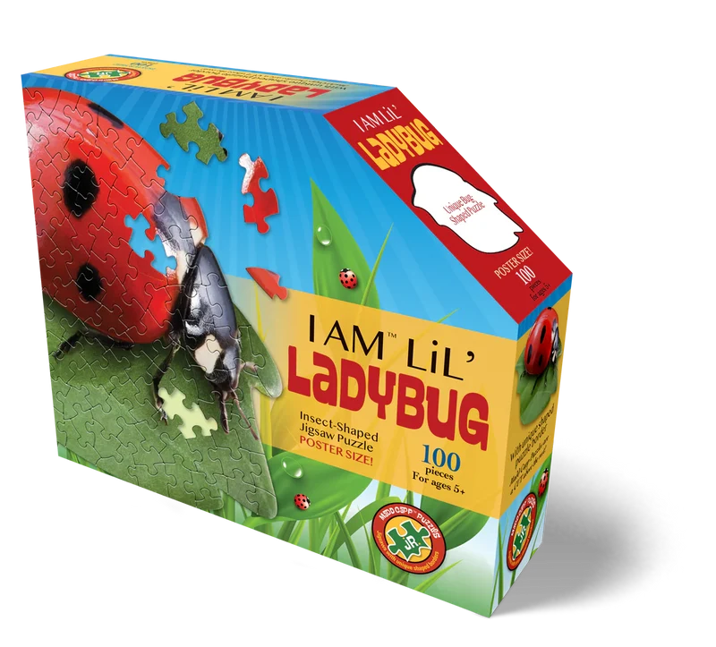 I Am Lil’ Ladybug (100pcs)