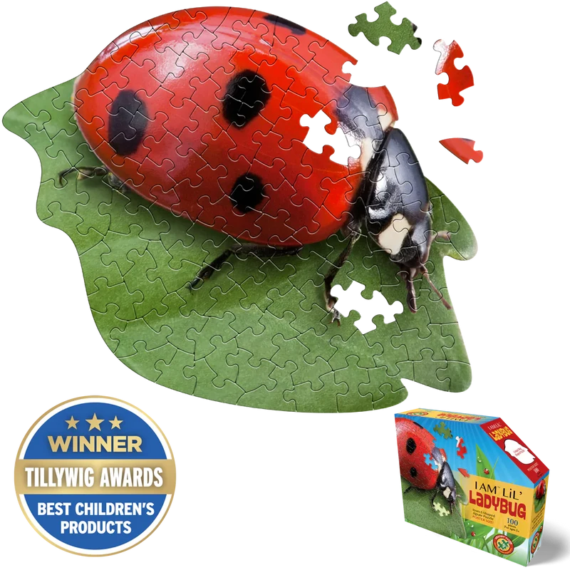 I Am Lil’ Ladybug (100pcs)