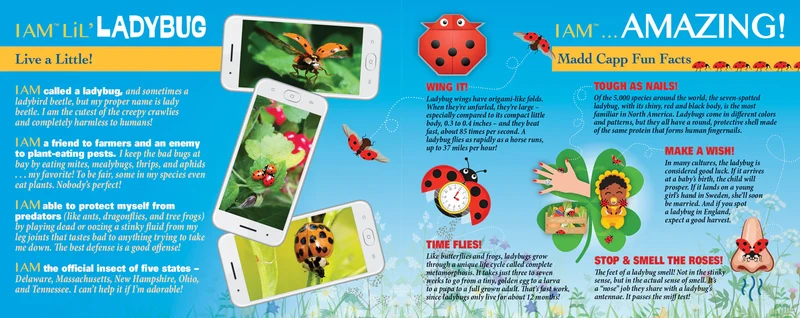 I Am Lil’ Ladybug (100pcs)