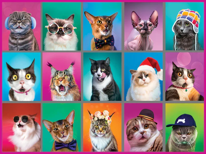 Cat Portraits, Olga Artbeat (500pcs)
