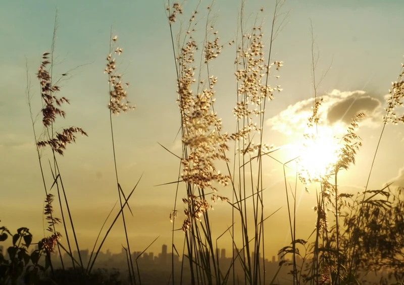 46384 Natur - Sonnenuntergang Puzzle