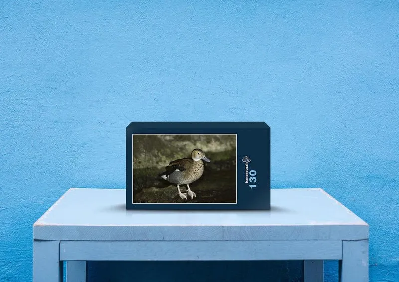 39533 Tierwelt - Bahamaente Puzzle