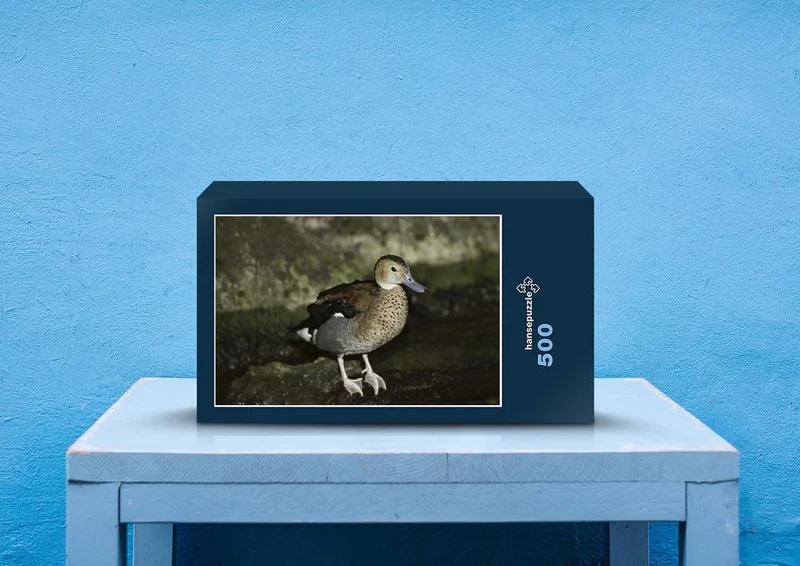 39533 Tierwelt - Bahamaente Puzzle