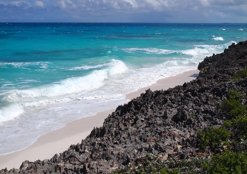 39557 Reisen - Bahamas Puzzle