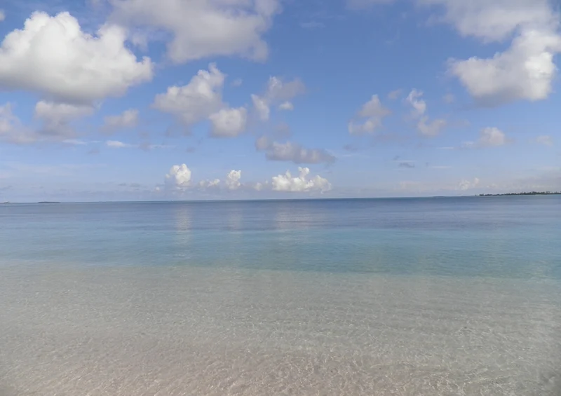 39571 Reisen - Bahamas Puzzle