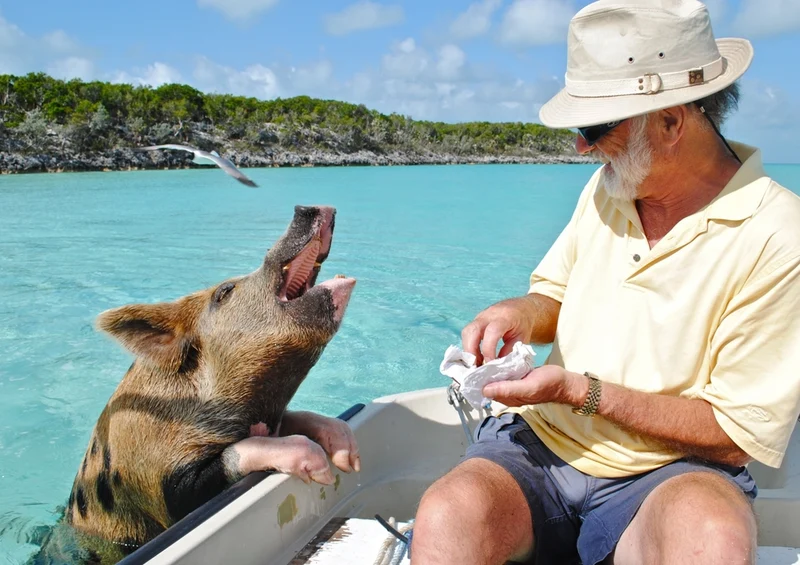 39583 Reisen - Bahamas Puzzle