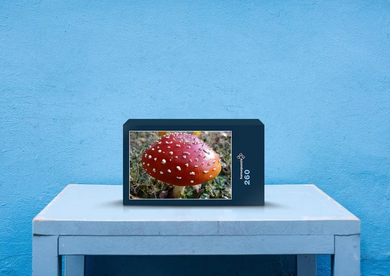 42535 Gesundheit - Fliegenpilze Puzzle