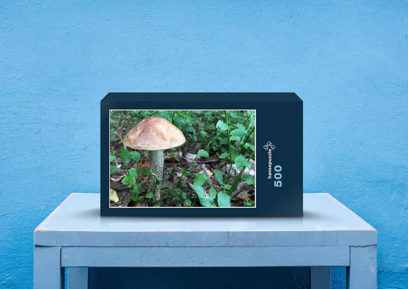 40339 Ernährung - Pilz Puzzle