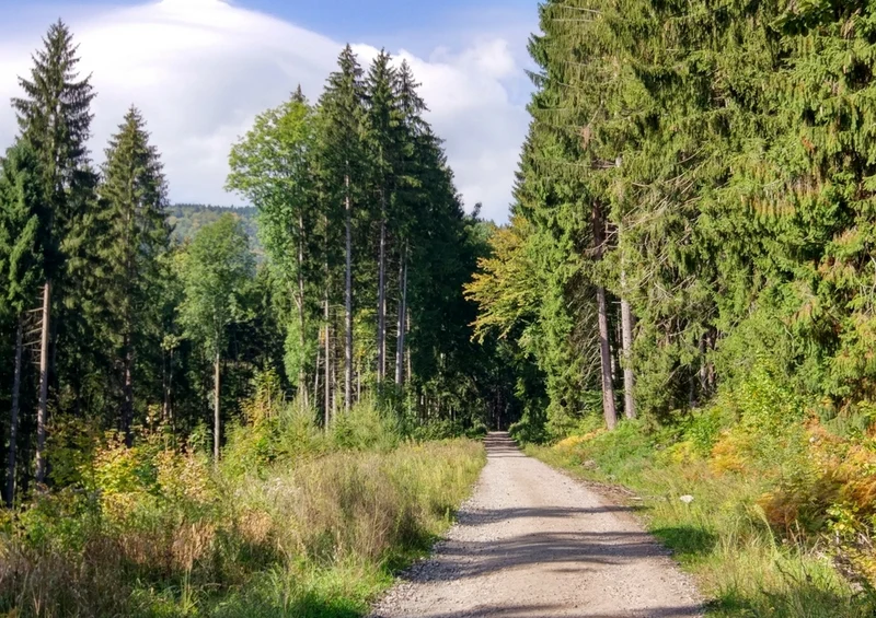 39604 Reisen - Wandern Puzzle