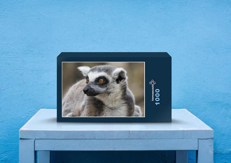54321 Tierwelt - Lemur Puzzle