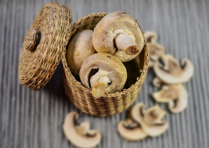 39880 Ernährung - Pilze Puzzle