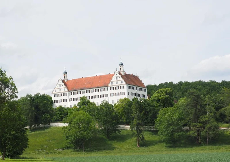 31826 Gebäude - Schloss Mochental Puzzle