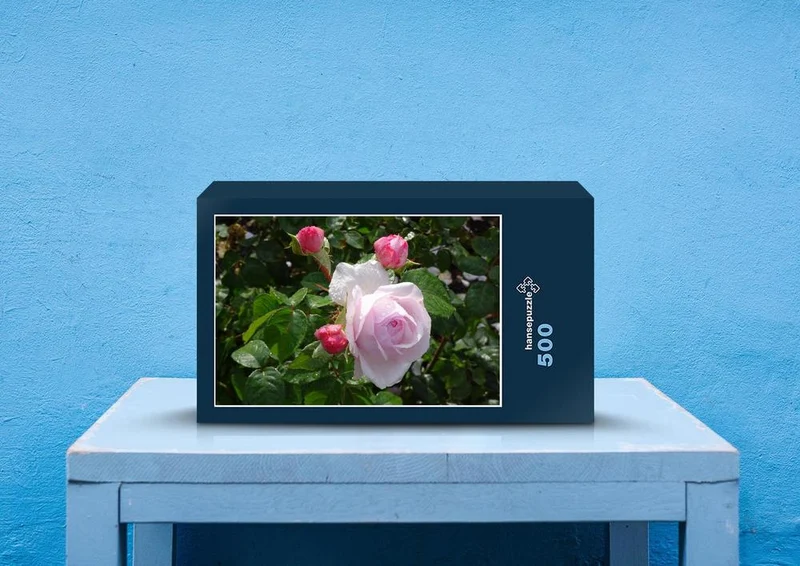 54891 Hintergründe - Rose Puzzle
