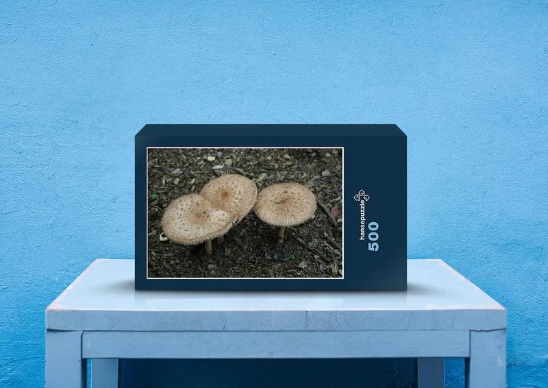 39764 Wissenschaft - Pilze Puzzle