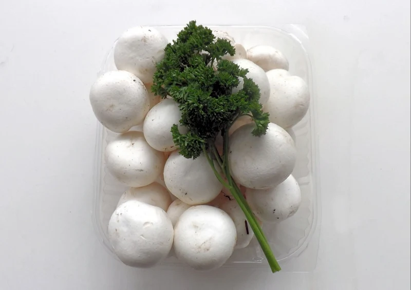 40372 Ernährung - Champignons Puzzle