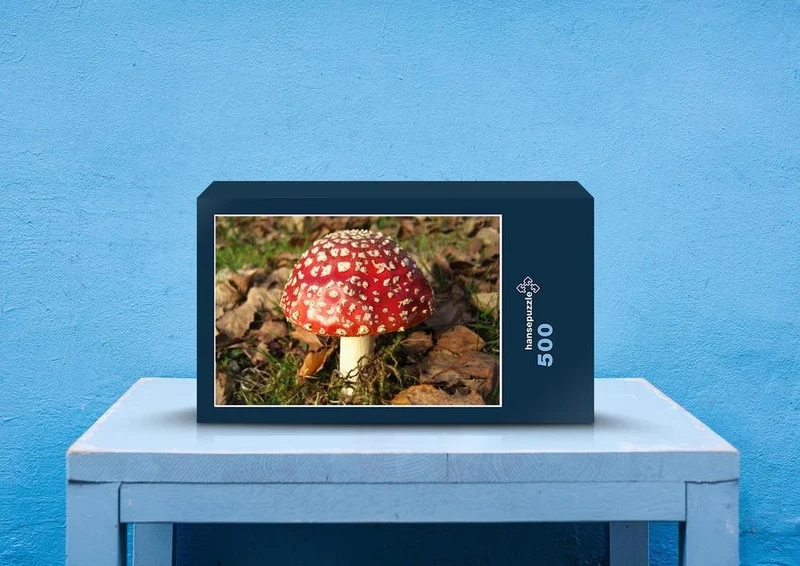 39156 Natur - Fliegen-Pilz Puzzle