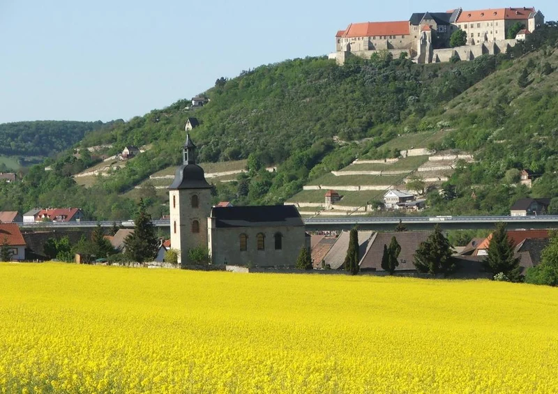 31443 Reisen - Schloss Neuenburg Puzzle