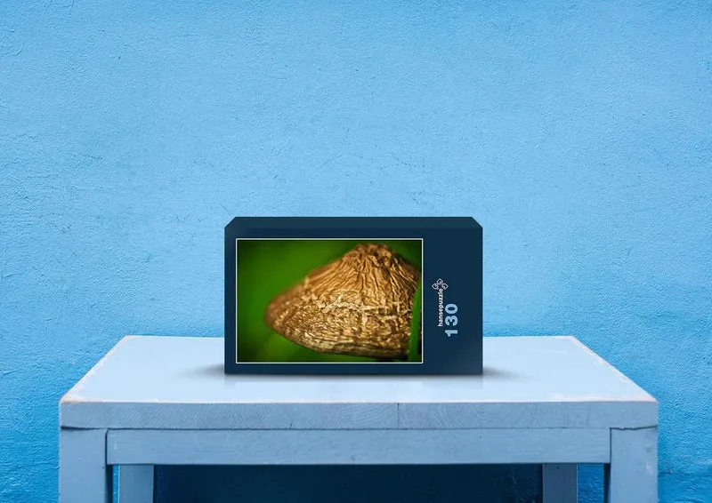39901 Ernährung - Pilze Puzzle