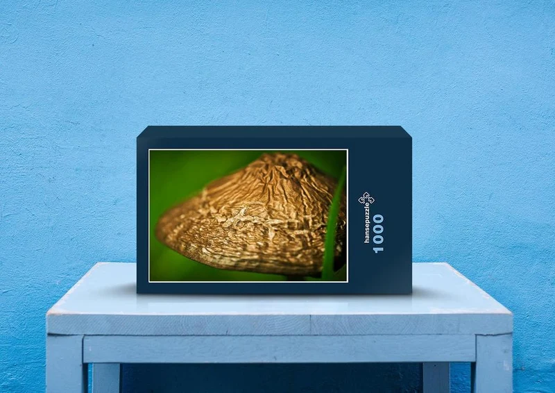 39901 Ernährung - Pilze Puzzle