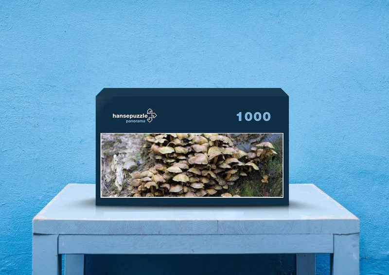 40848 Ernährung - Pilze Puzzle