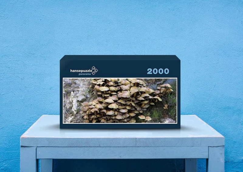 40848 Ernährung - Pilze Puzzle