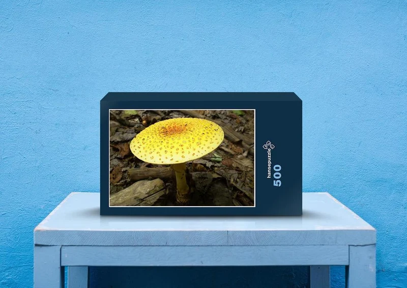 39747 Wissenschaft - Pilz Puzzle