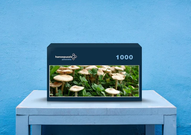 39937 Ernährung - Pilze Puzzle