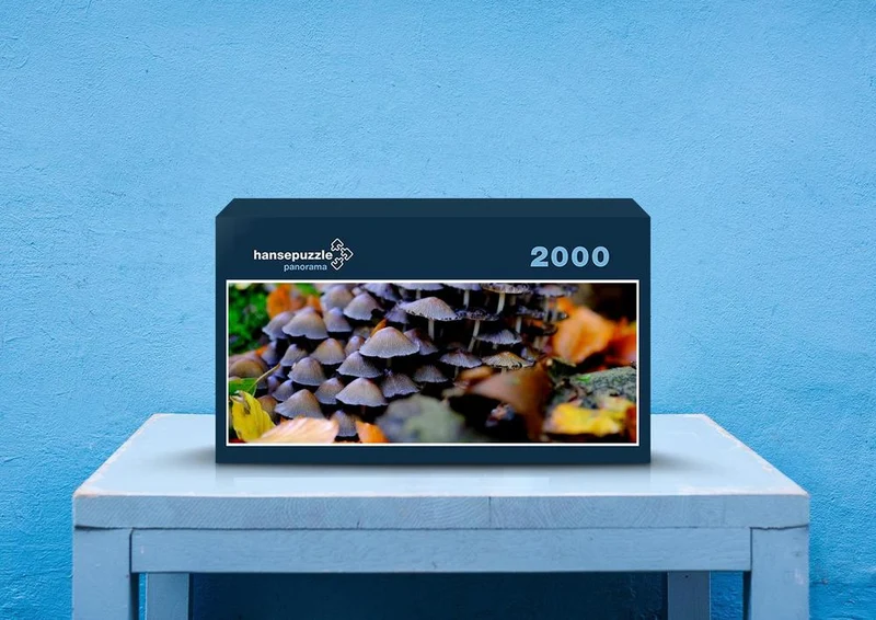 39943 Ernährung - Pilze Puzzle