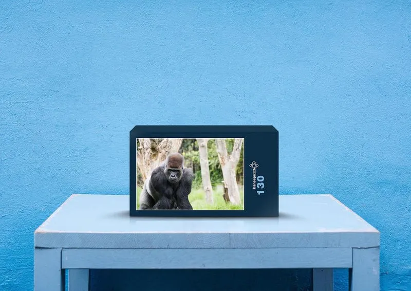 54250 Tierwelt - Gorilla Puzzle