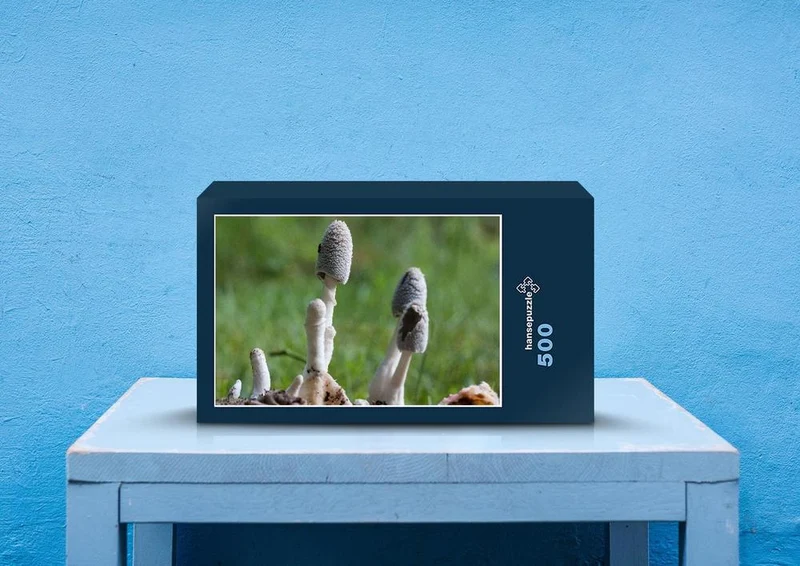 40875 Natur - Pilz Puzzle
