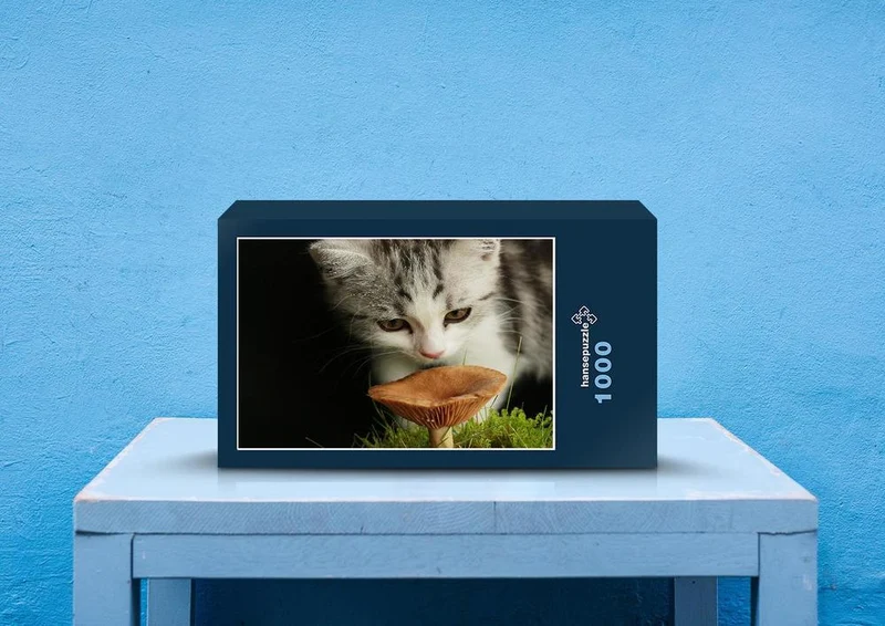 40883 Tierwelt - Baby Katze Puzzle
