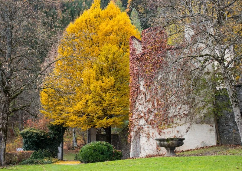 31453 Natur - Herbst Puzzle